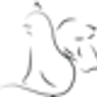 Golden Triangle Animal Hospital company logo